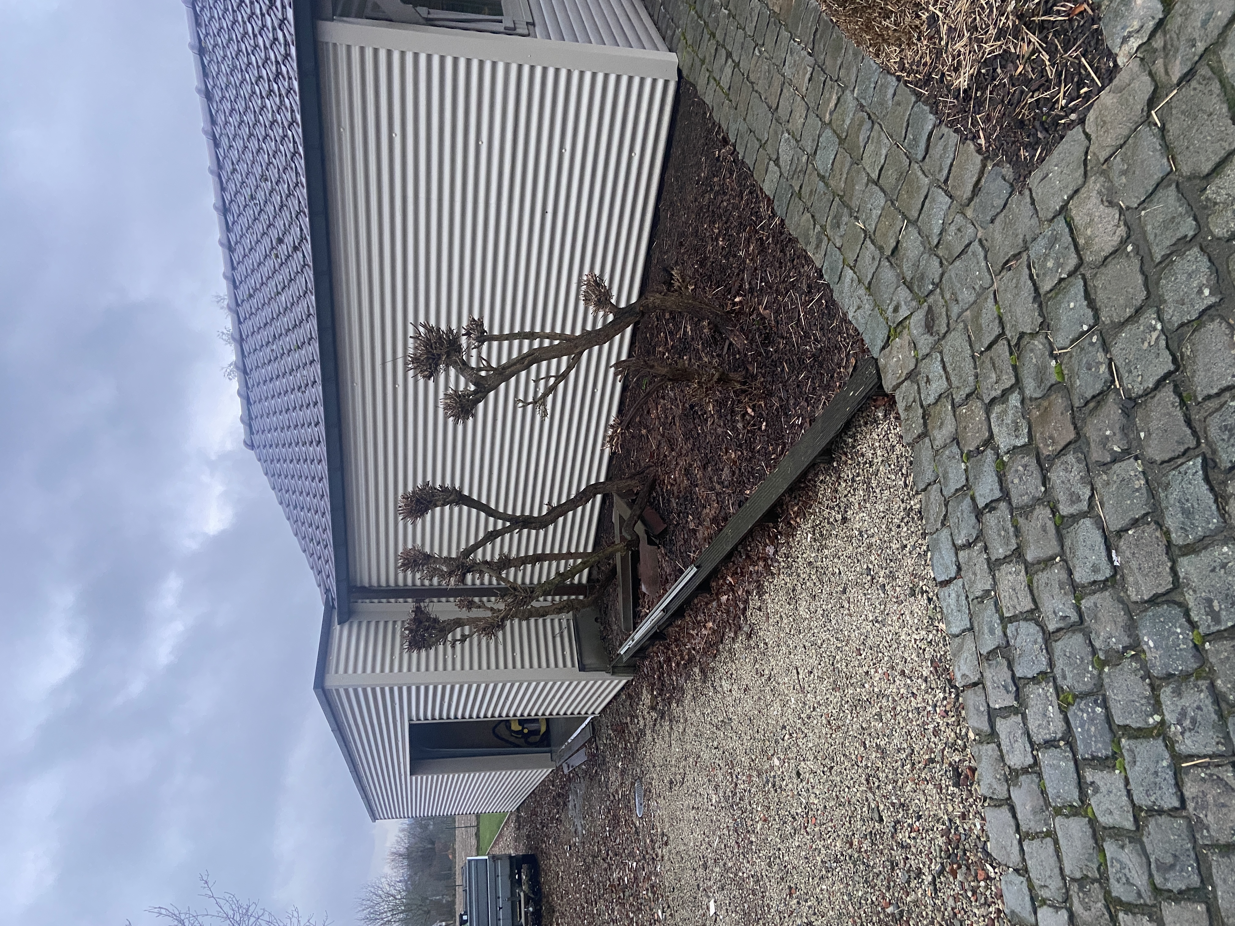 Gevelbekleding